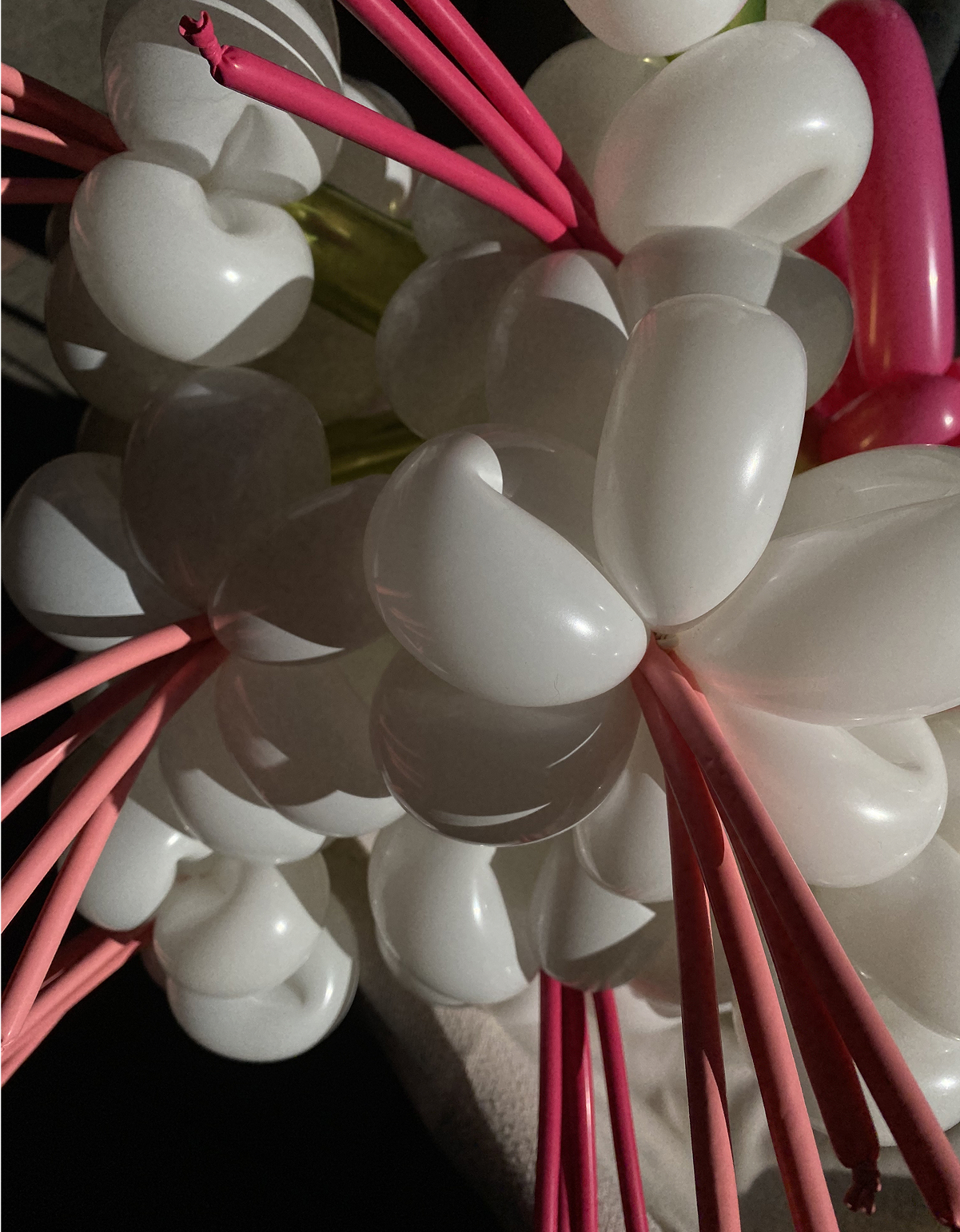 Bablooms_Kinrozes_Balionu Geles_Produktai_01